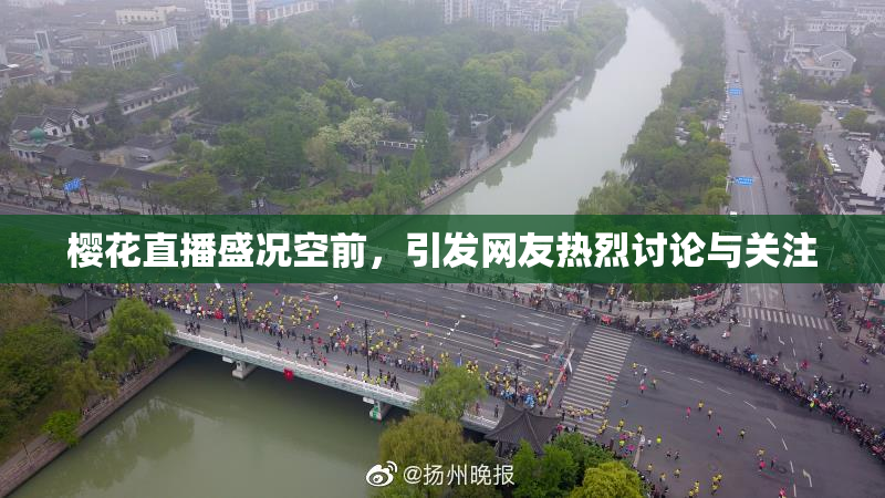 樱花直播盛况空前，引发网友热烈讨论与关注
