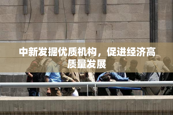中新发掘优质机构，促进经济高质量发展