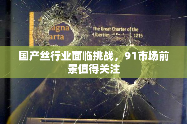 国产丝行业面临挑战，91市场前景值得关注