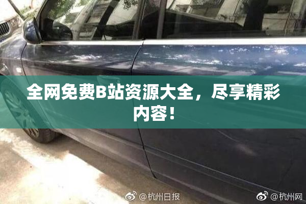 全网免费B站资源大全，尽享精彩内容！