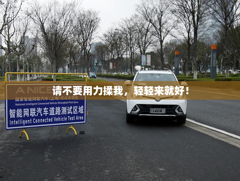 请不要用力揉我，轻轻来就好！