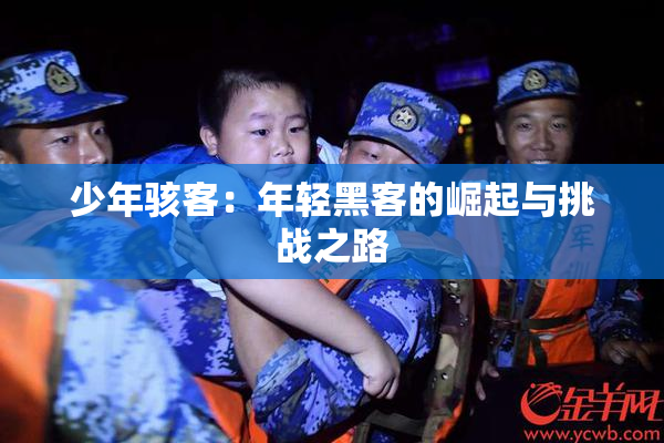 少年骇客：年轻黑客的崛起与挑战之路