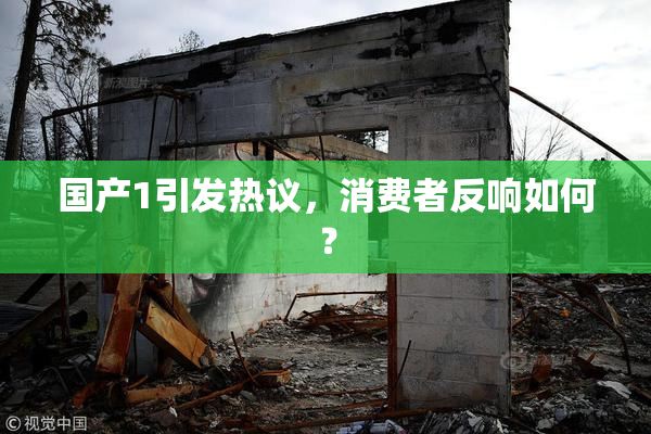 国产1引发热议，消费者反响如何？