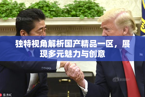 独特视角解析国产精品一区，展现多元魅力与创意