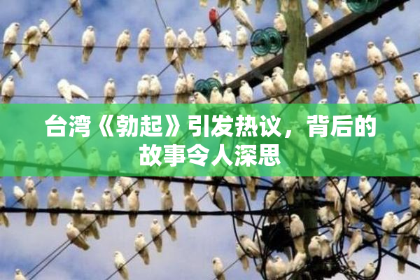 台湾《勃起》引发热议，背后的故事令人深思