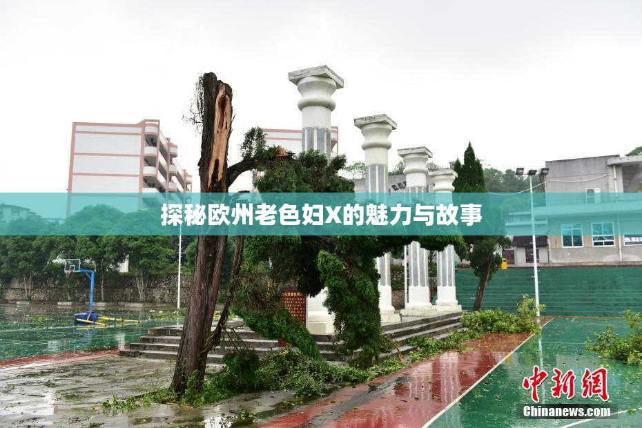 探秘欧州老色妇X的魅力与故事