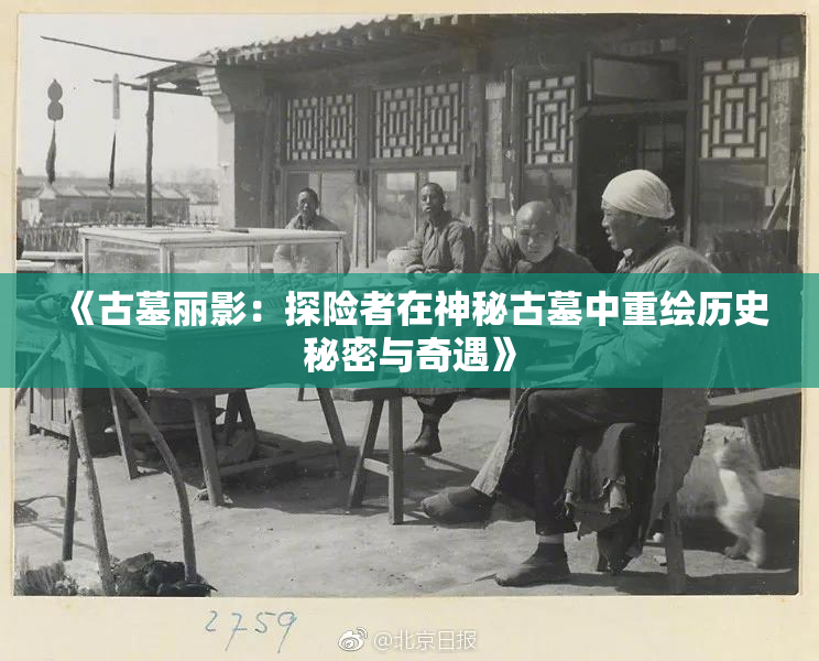 《古墓丽影：探险者在神秘古墓中重绘历史秘密与奇遇》