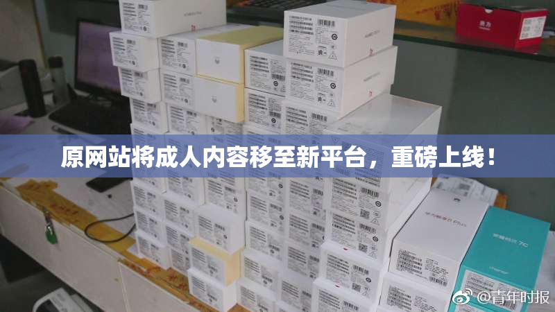 原网站将成人内容移至新平台，重磅上线！