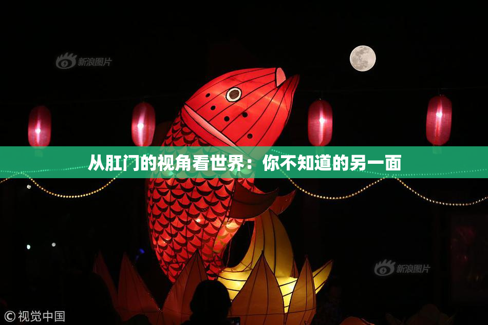 从肛门的视角看世界：你不知道的另一面