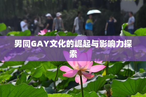 男同GAY文化的崛起与影响力探索