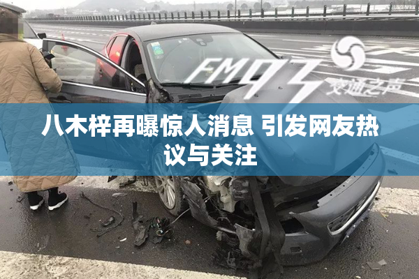 八木梓再曝惊人消息 引发网友热议与关注