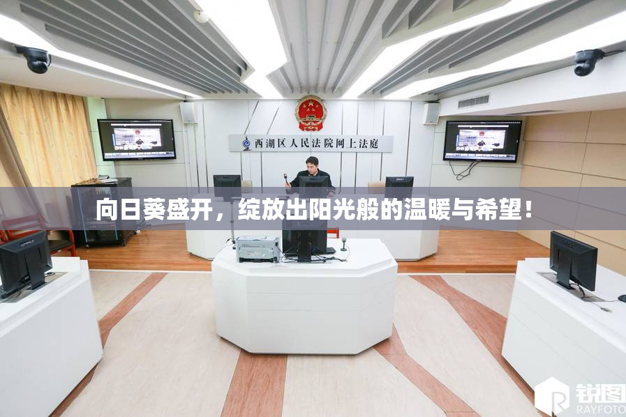 向日葵盛开，绽放出阳光般的温暖与希望！