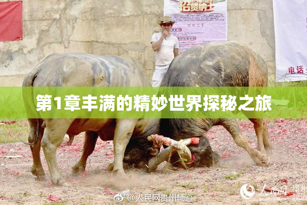 第1章丰满的精妙世界探秘之旅