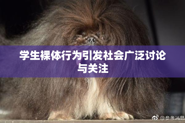 学生裸体行为引发社会广泛讨论与关注
