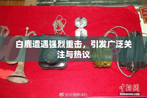 白鹿遭遇强烈重击，引发广泛关注与热议