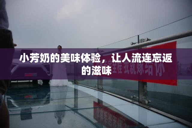小芳奶的美味体验，让人流连忘返的滋味