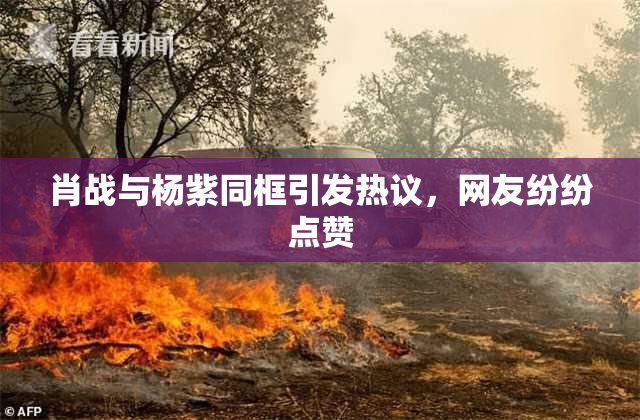 肖战与杨紫同框引发热议，网友纷纷点赞