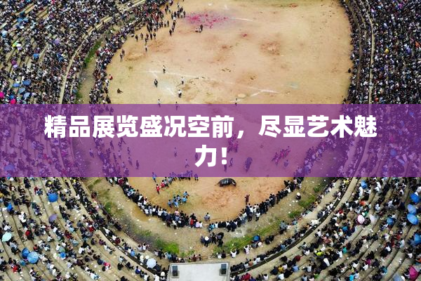 精品展览盛况空前，尽显艺术魅力！