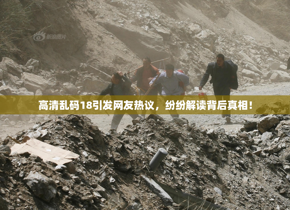 高清乱码18引发网友热议，纷纷解读背后真相！