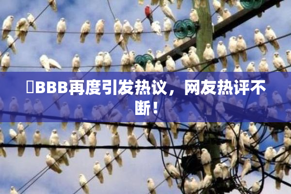 嫰BBB再度引发热议，网友热评不断！