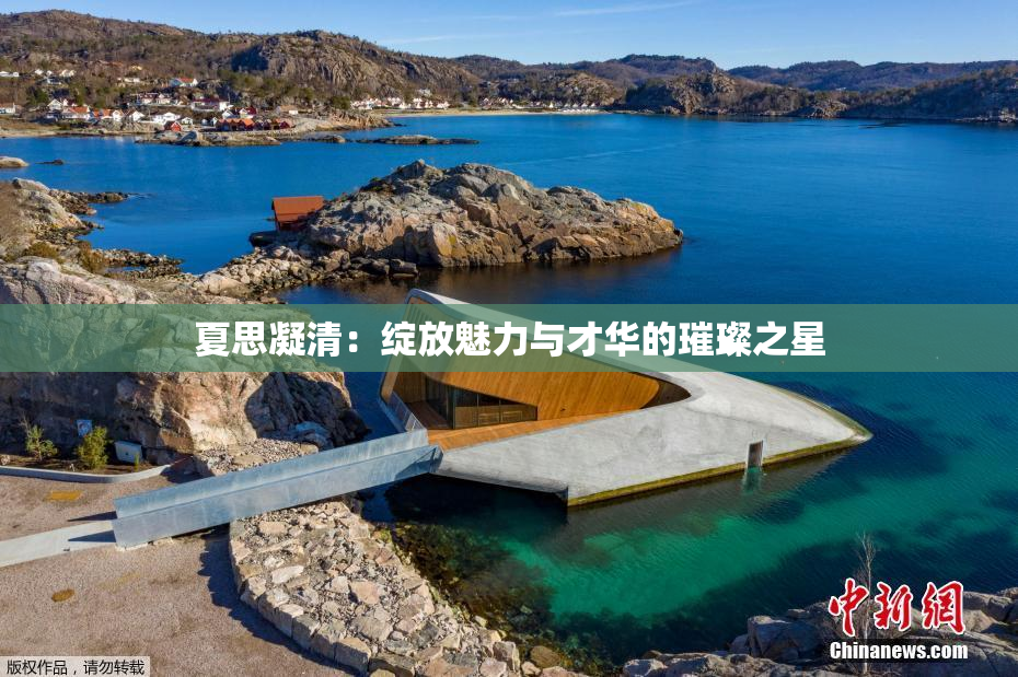 夏思凝清：绽放魅力与才华的璀璨之星