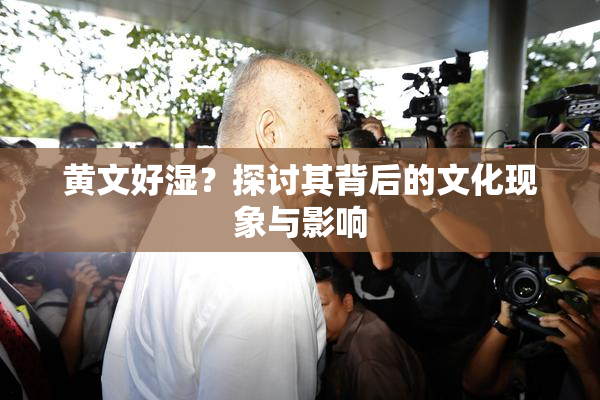 黄文好湿？探讨其背后的文化现象与影响