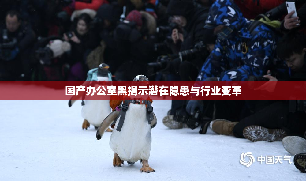 国产办公室黑揭示潜在隐患与行业变革