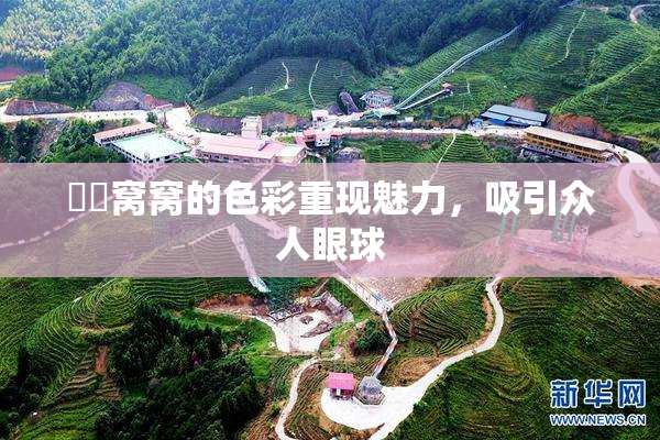 妺妺窝窝的色彩重现魅力，吸引众人眼球