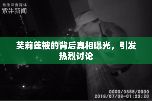 芙莉莲被的背后真相曝光，引发热烈讨论