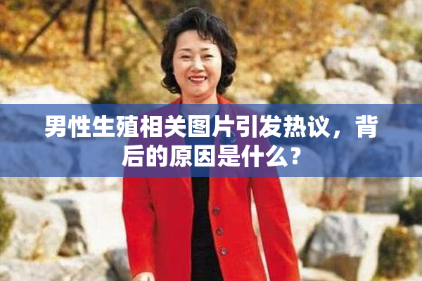 男性生殖相关图片引发热议，背后的原因是什么？