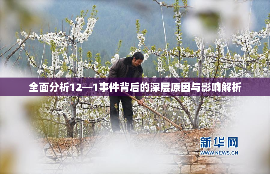 全面分析12—1事件背后的深层原因与影响解析