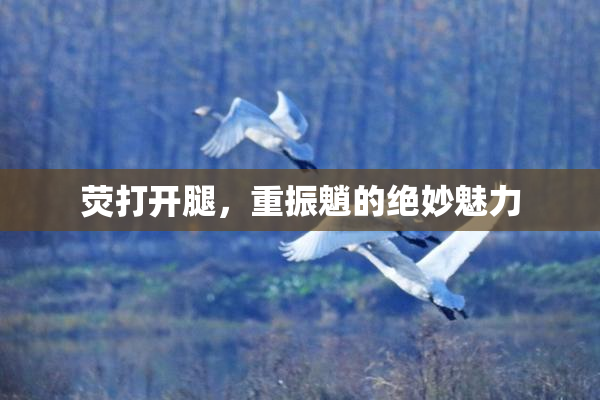 荧打开腿，重振魈的绝妙魅力