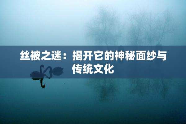 丝被之迷：揭开它的神秘面纱与传统文化