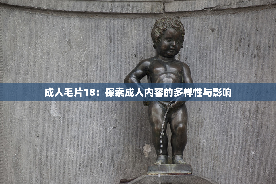 成人毛片18：探索成人内容的多样性与影响