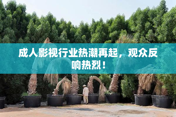 成人影视行业热潮再起，观众反响热烈！
