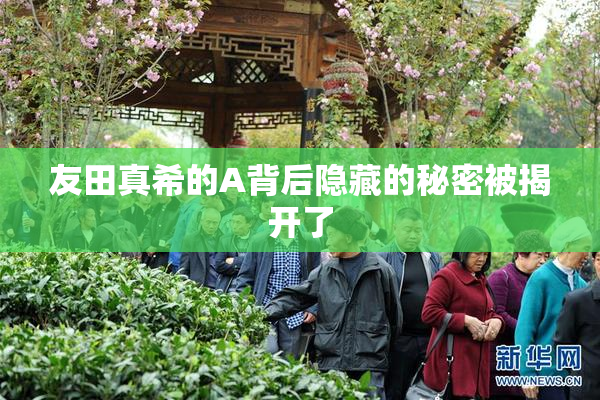 友田真希的A背后隐藏的秘密被揭开了
