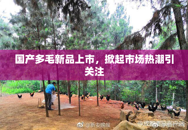 国产多毛新品上市，掀起市场热潮引关注