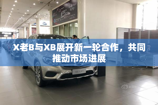 X老B与XB展开新一轮合作，共同推动市场进展