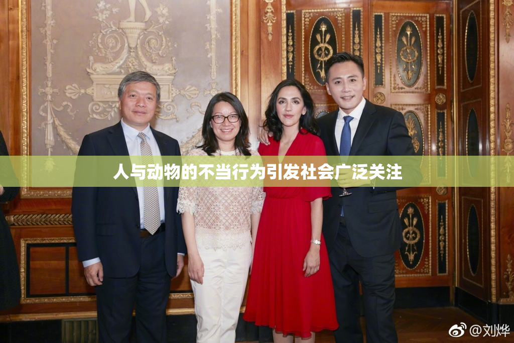 人与动物的不当行为引发社会广泛关注