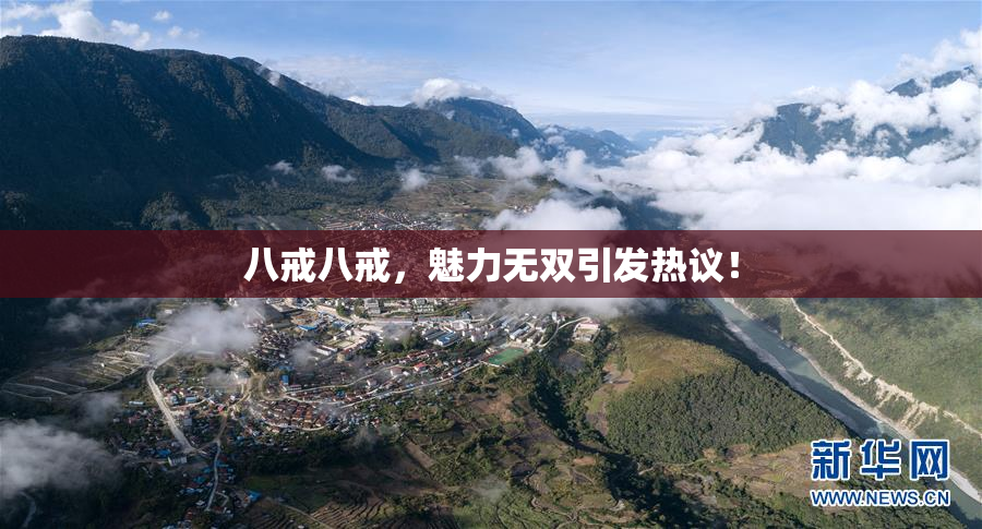 八戒八戒，魅力无双引发热议！