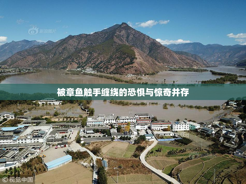 被章鱼触手缠绕的恐惧与惊奇并存