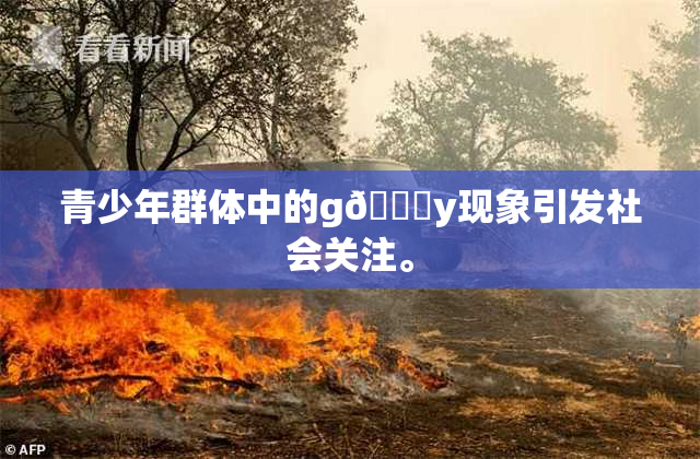 青少年群体中的g🈚y现象引发社会关注。