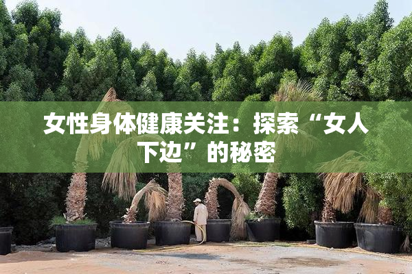 女性身体健康关注：探索“女人下边”的秘密