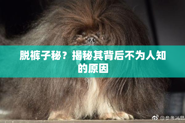 脱裤子秘？揭秘其背后不为人知的原因