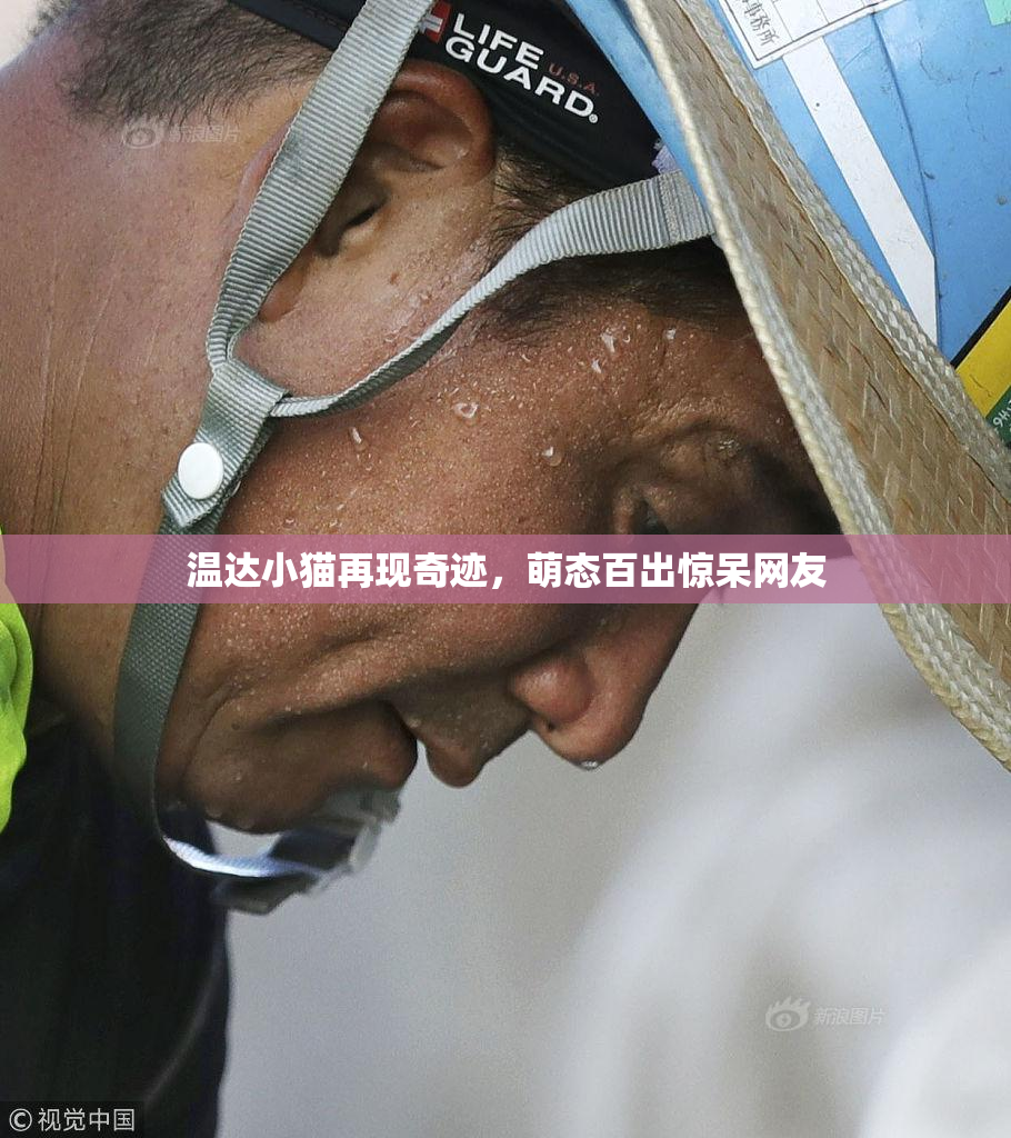 温达小猫再现奇迹，萌态百出惊呆网友