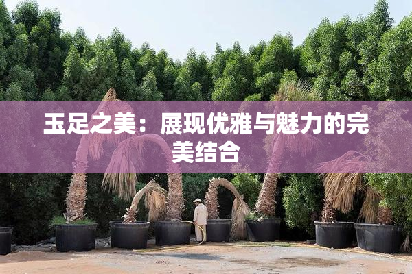 玉足之美：展现优雅与魅力的完美结合