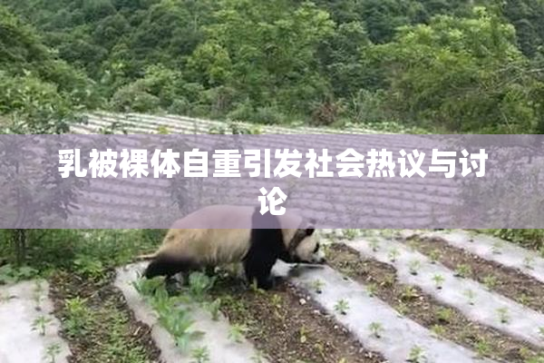 乳被裸体自重引发社会热议与讨论