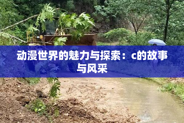 动漫世界的魅力与探索：c的故事与风采