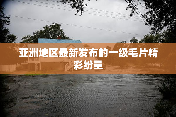 亚洲地区最新发布的一级毛片精彩纷呈