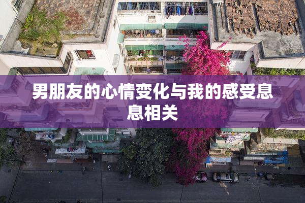 男朋友的心情变化与我的感受息息相关